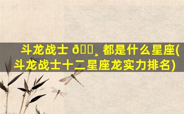 斗龙战士 🕸 都是什么星座(斗龙战士十二星座龙实力排名)